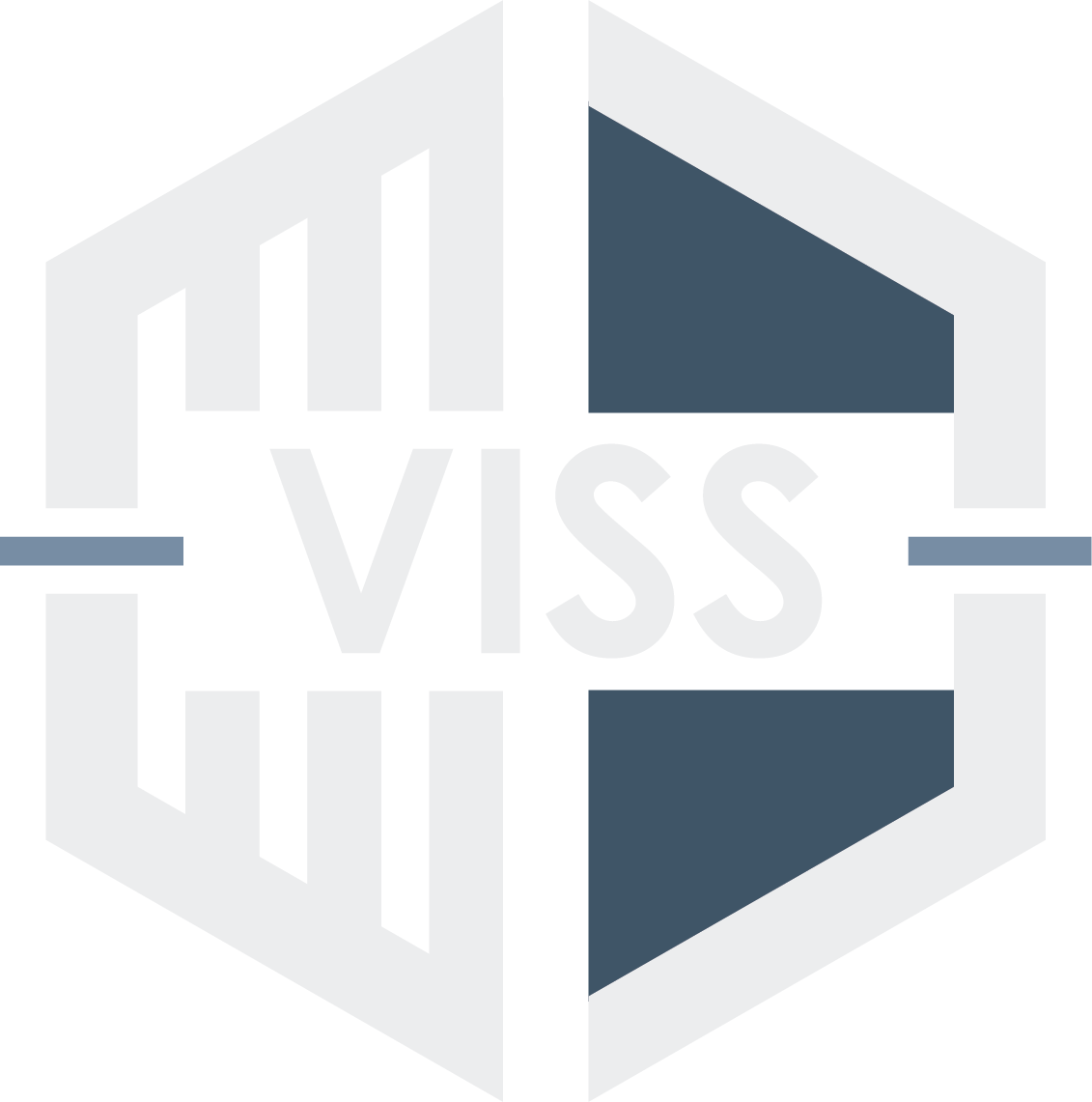 Logo VISS